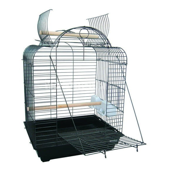 1904 3/4" Bar Spacing Open Dome Top Small Parrot Bird Cage - 20"x16" In Black
