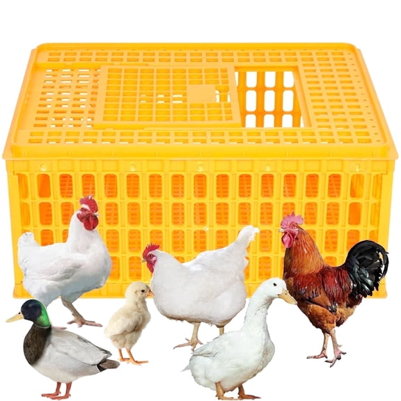 Ymokee Poultry Carrier Crate Plastic Chicken Transport Cage, Heavy Duty Chicken Crate Box for 10-13 Adult Chicken Duck Goose Birds, 29.5 x 21.6 x 13 inch