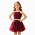 thumbnail image 1 of Ymyiu Toddler Outfit Sets Girls Girl's 2 Piece Summer Outfits Floral Cami Crop Top and Mesh A Line Mini Skirt Matching Set 5T(Wine, 5 Years), 1 of 6