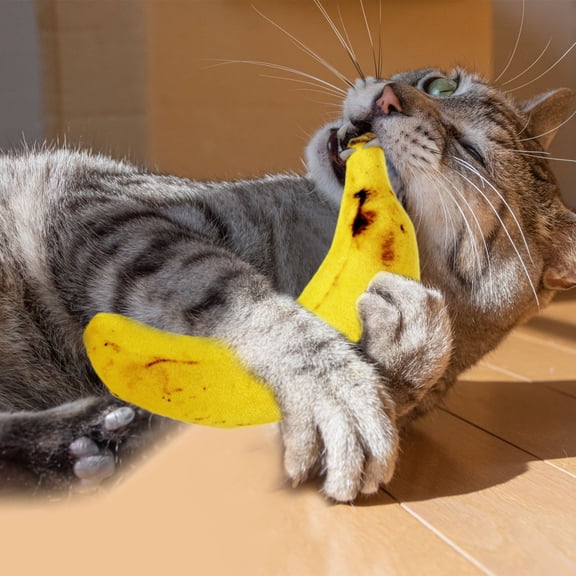 Ynsdnzl 13Cm Soft Plush Banana Toy With Catnip For Kittens, Interactive Chewing & Stress Relief Teething Toy, Small Indoor Simulation Toy For Cats