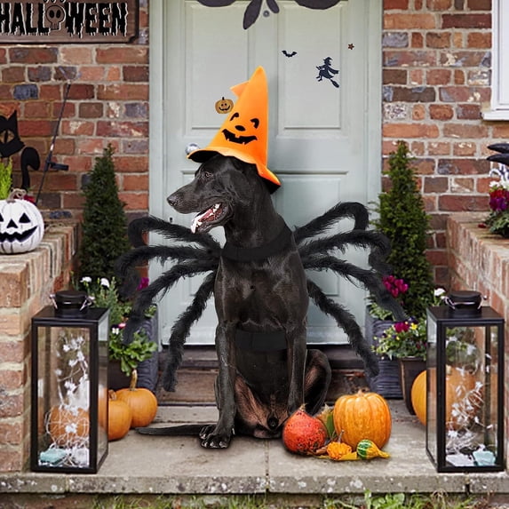 Ynsdnzl Halloween Pet Bat Wing Costume With Spider Decor, Adjustable Fit For Cats & Small Dogs, Soft Comfortable Outfit For Party, Cosplay, Trick-Or-Treat & Holiday Photo Props