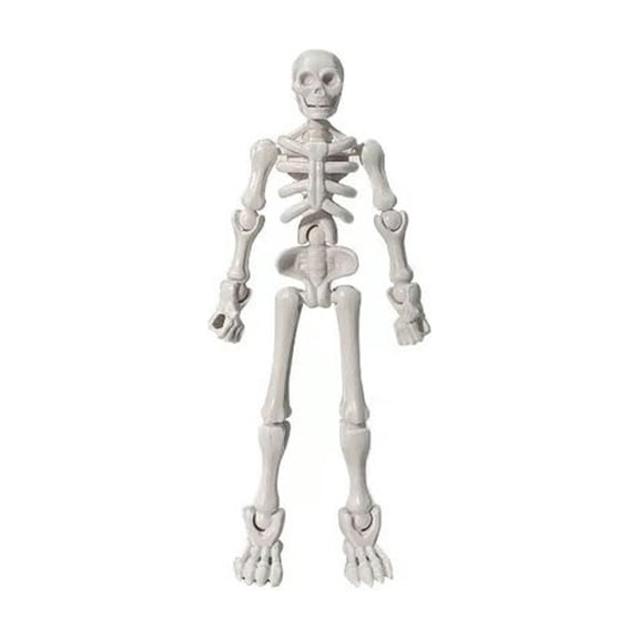 Ynsdnzl Magnetic Skull Joint Multi-Joint Skeleton Action Figure Fully Poseable Movable Model For Drawing Sketching Practice Photography Prop Desk Decoration Flexible Articulated Skeleton