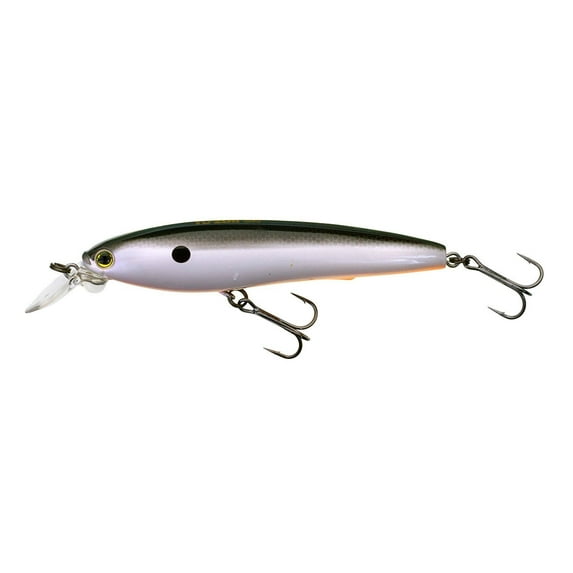 Yo-Zuri 3D Minnow 100 100mm Suspending Saltwater Bass Lure F1157-TSH TENN SHAD