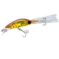 thumbnail image 1 of Yo-Zuri 3D Squirt Floating Squid Lure, 1 of 5