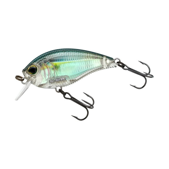 Yo-Zuri 3DB 1.5 Square Bill Crankbait Real Gizzard Shad