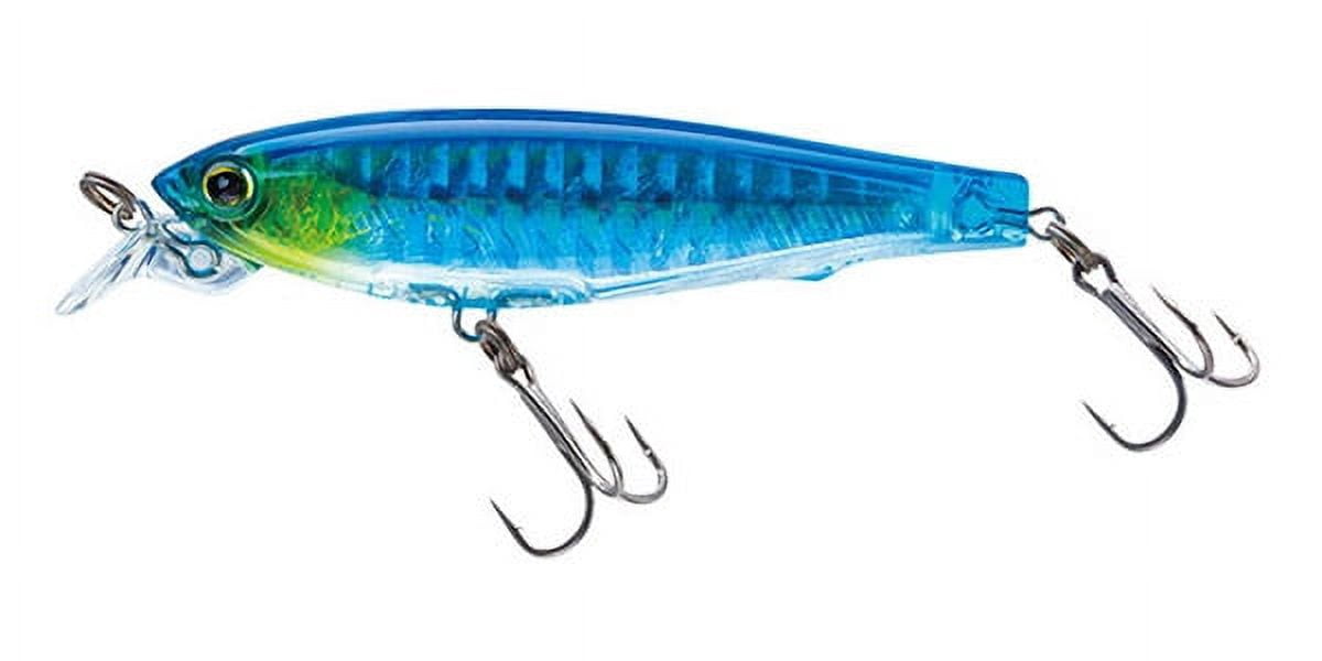 HOLOGRAPHIC SARDINE