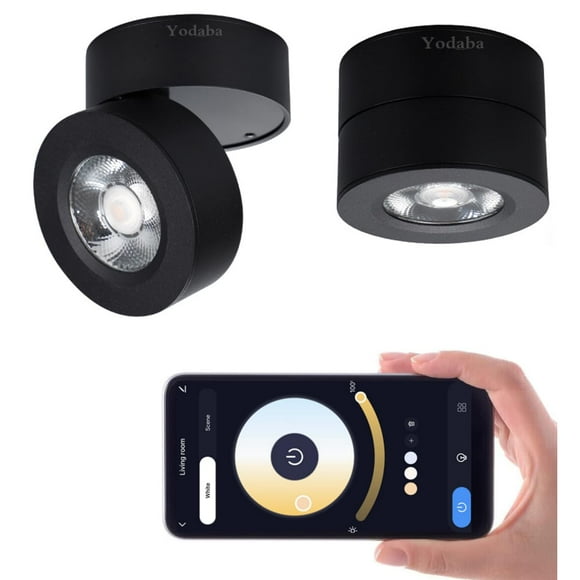Yodaba Indoor Ceiling Spotlight Dimmable -Tuya Smart Life Mounted Adjustable Directional 12W LED COB Art Lighting-Hard Wired Ceiling Downlight for Background Wall Display(Black, 3.90"*2.84") C95