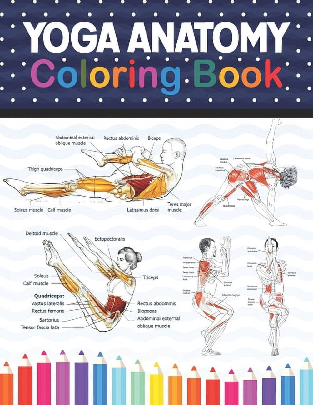 Yoga Anatomy Coloring Book: Collection of Simple Illustrations of Yoga Poses.  Learn the Anatomy and Enhance Your Practice. Human Form and Function ... -  Publication, Shikaylene - Walmart.com