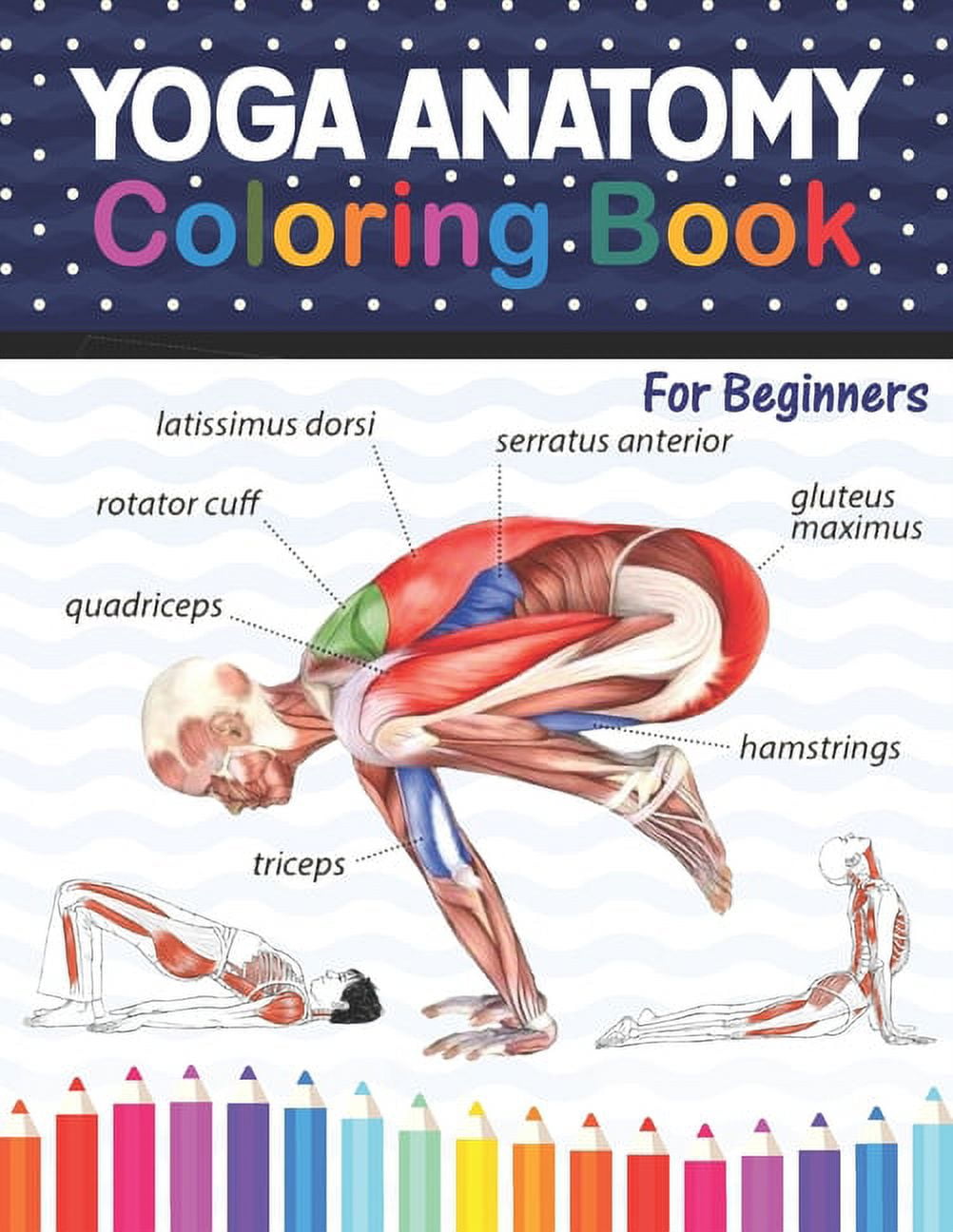The Complete Yoga Poses .pdf