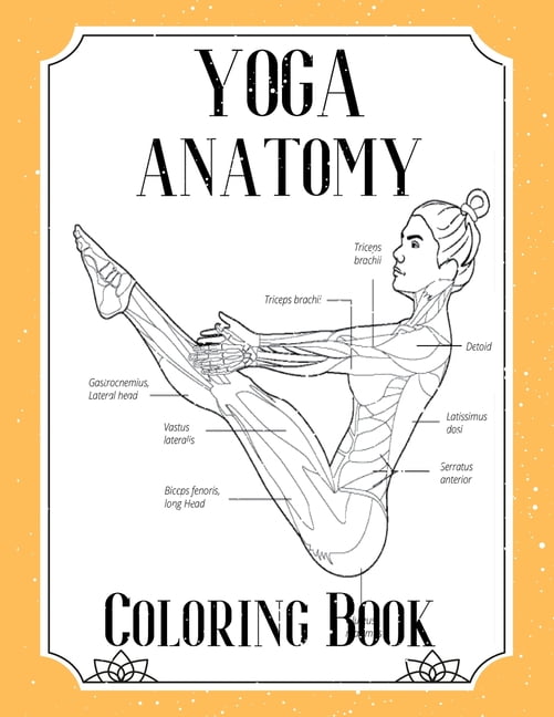 Yoga Anatomy Coloring Book: Visual Guide Movement Yoga Poses Coloring Book - Walmart.com