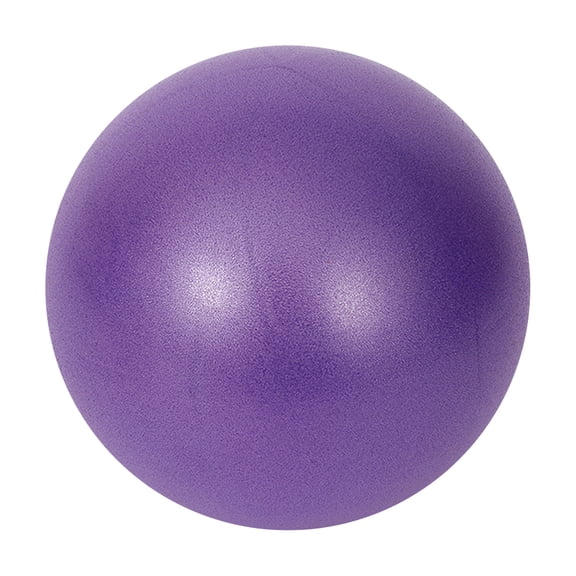 Yoga Balls 9.84 Inch Exercise Pilates Therapy Balance Micropore Ball Barre Equipment for Home Stability Training Physical Core Training with Pump