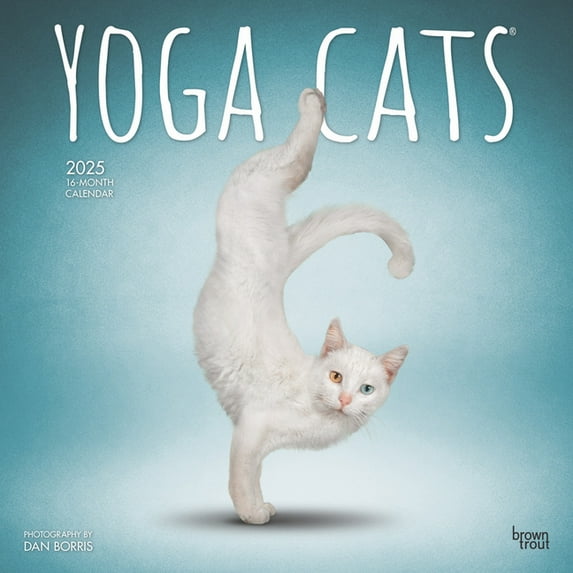 Yoga Cats Official 2025 12 X 24 Inch Monthly Square Wall Calendar Plastic-Free, (Paperback)