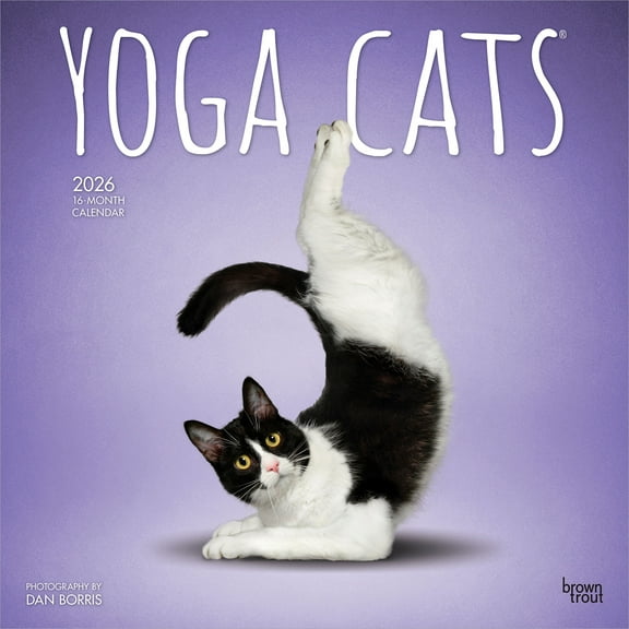 Yoga Cats OFFICIAL | 2026 12x24" (Hanging) Square Wall Calendar | Plastic-Free