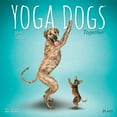 thumbnail image 1 of Yoga Dogs Together Wall Calendar, More Dogs by Calendars, 1 of 8