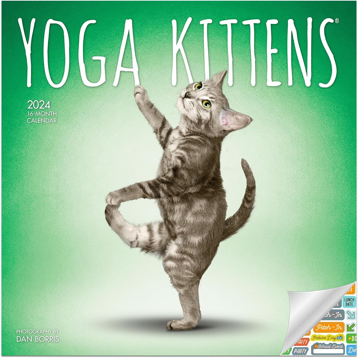 Yoga Kittens Calendar 2025 Deluxe 2025 Yoga Cats Wall Calendar Bundle