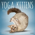 thumbnail image 1 of Yoga Kittens OFFICIAL | 2026 12x24" (Hanging) Monthly Square Wall Calendar | Plato, 1 of 9