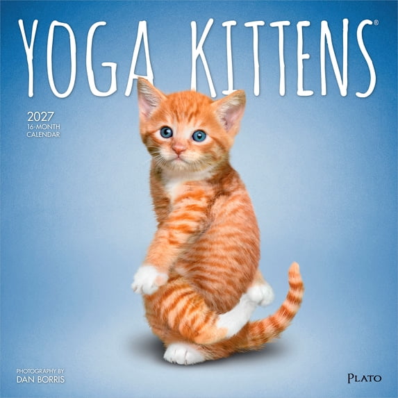 Yoga Kittens OFFICIAL | 2027 12x24" (Hanging) Wall Calendar | Plato
