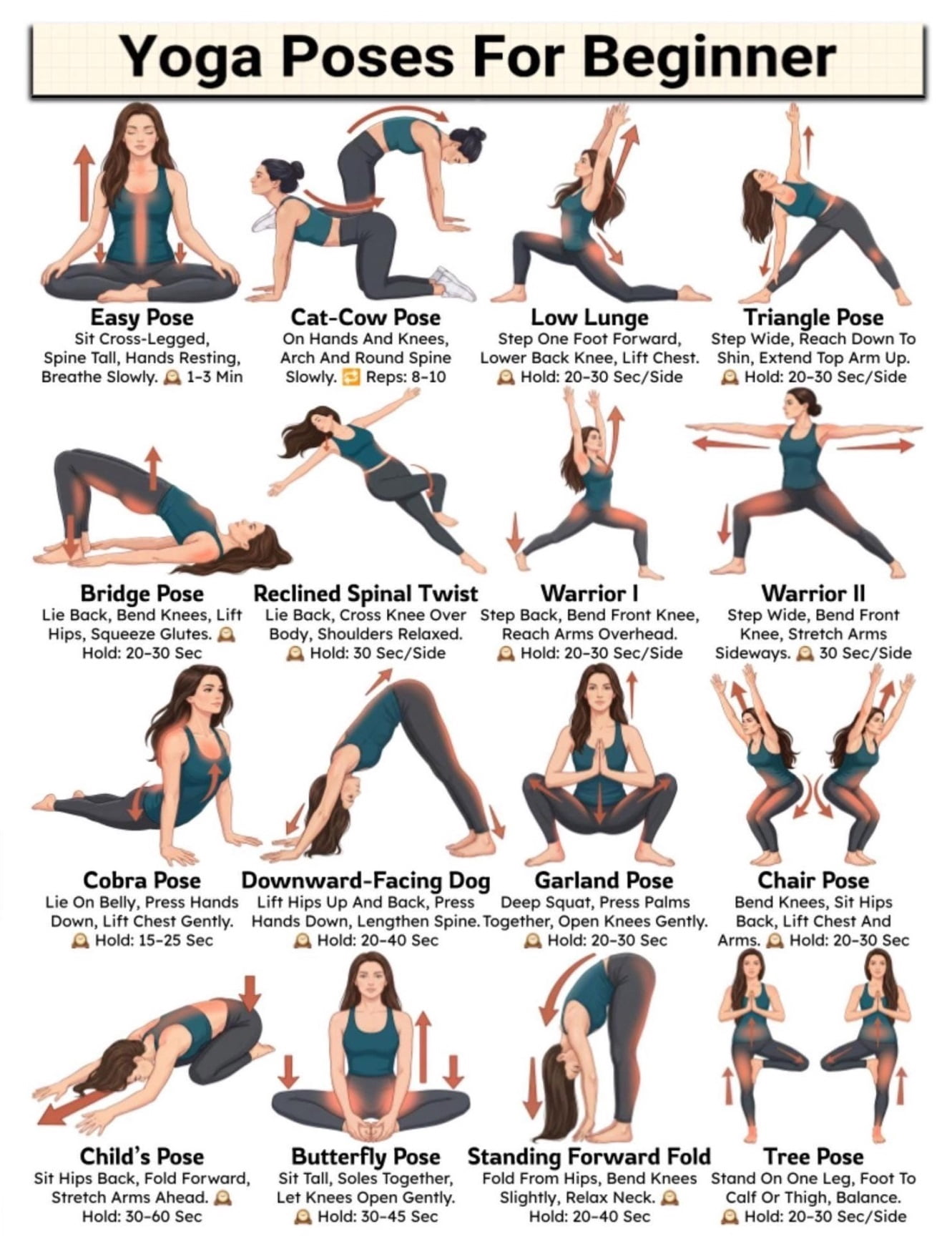 Yoga Poses For Beginners poster Asanas Yoga Daily Routine, Daily ...