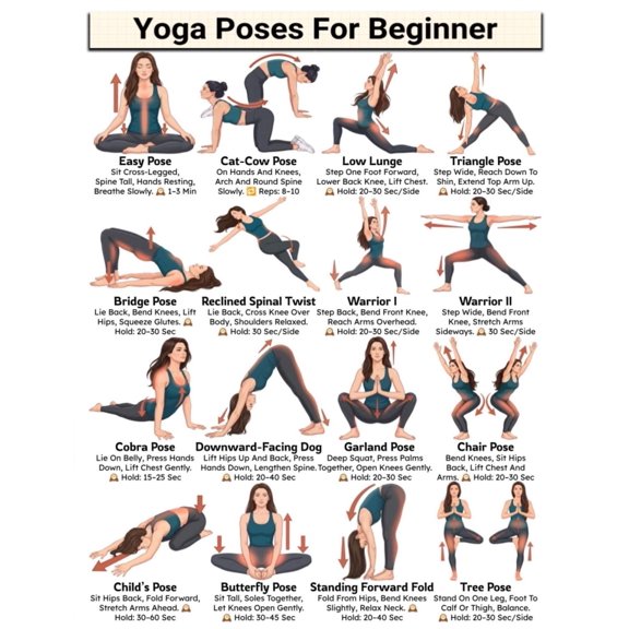 Yoga Poses For Beginners poster Asanas Yoga Daily Routine, Daily Flexibility, Stretching Exercise & Stress Relief, Basic Yoga Positions poster