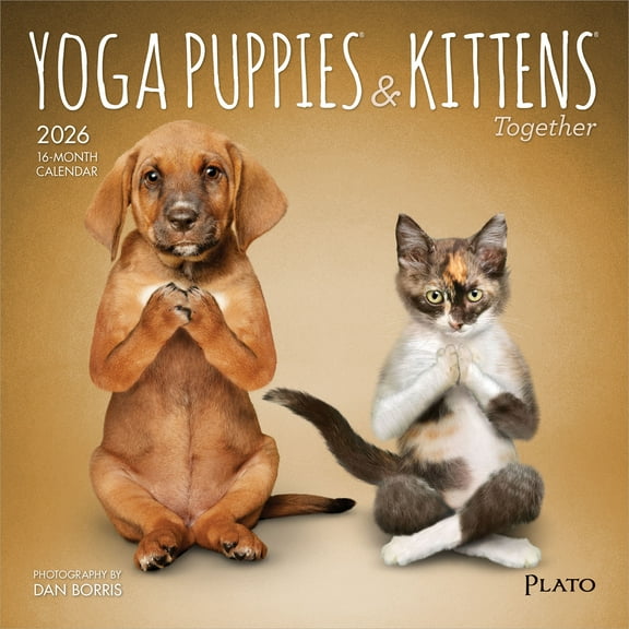 Yoga Puppies & Kittens Together OFFICIAL 2026 7x14" (Hanging) Wall Calendar | Plato