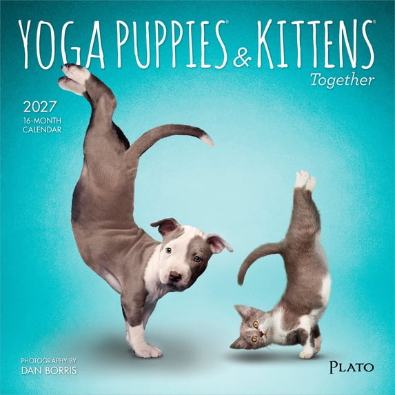 Yoga Puppies & Kittens Together OFFICIAL | 2027 7x14" (Hanging) Mini Wall Calendar