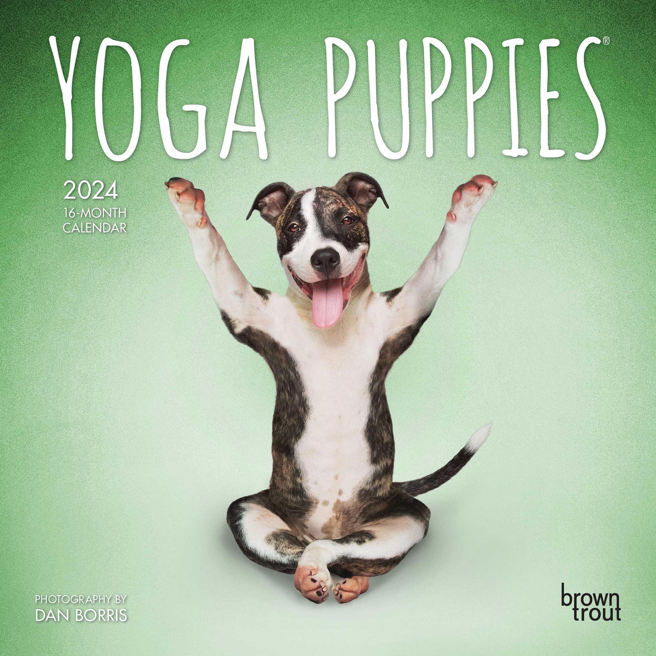 Yoga Puppies OFFICIAL | 2024 7x14