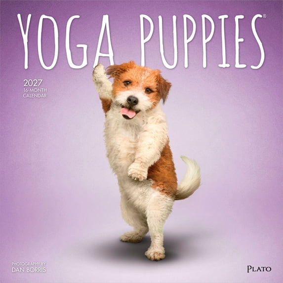 Yoga Puppies OFFICIAL | 2027 12x24" (Hanging) Wall Calendar | Plato