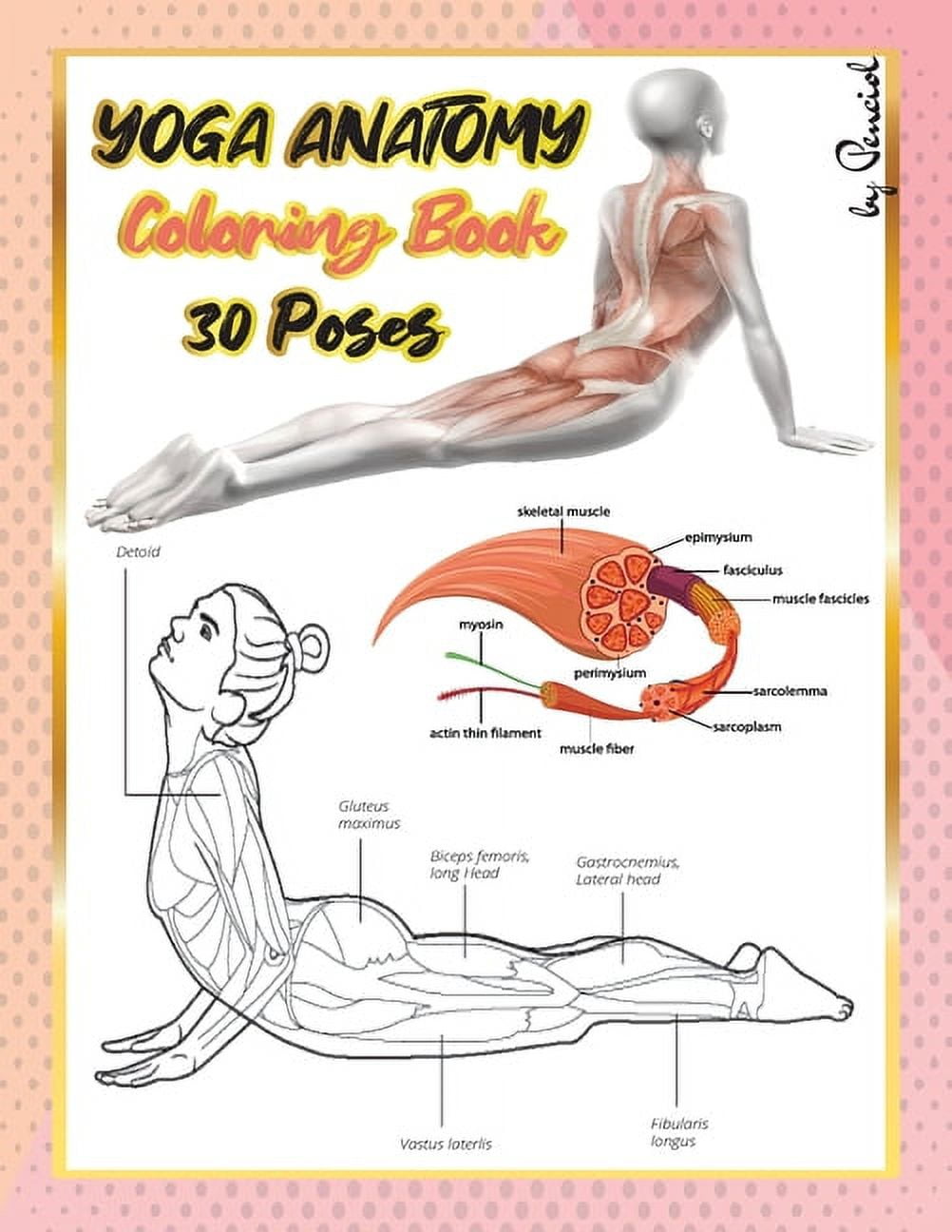 The Yoga Anatomy Coloring Book: A Visual Guide to Form, Function, and  Movement by Kelly Solloway, Samantha Stutzman, Paperback | Barnes & Noble®