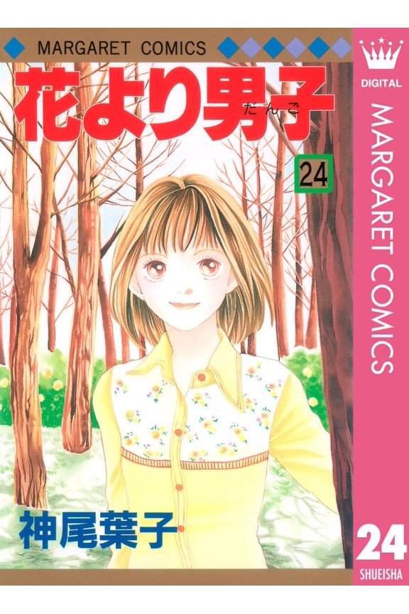 Yoko Kamio Boys Over Flowers 24 (Paperback)