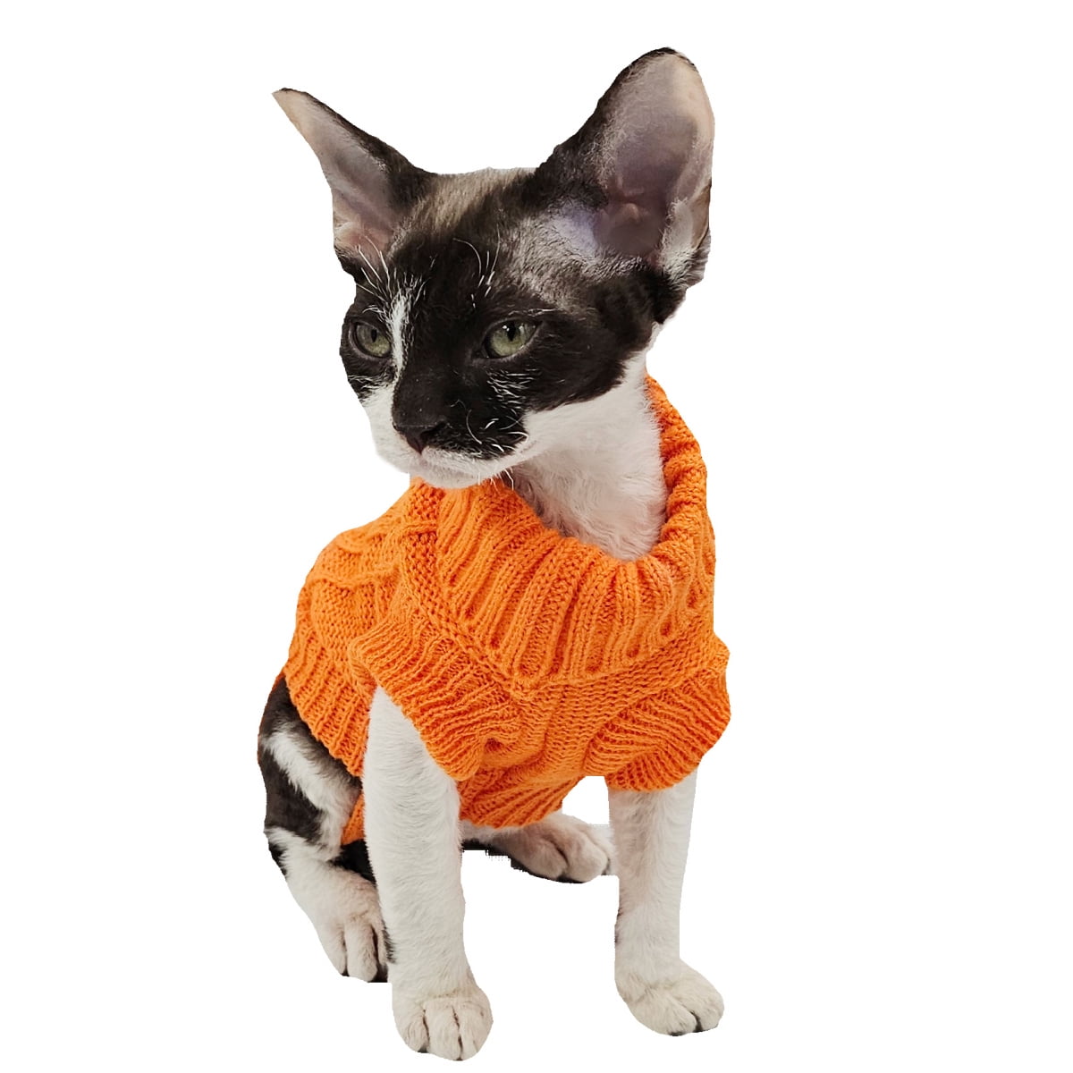 YokoKat Orange Turtleneck Kitten Cat Sweater Size XS Devon Rex Cat