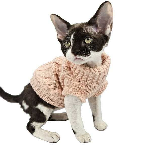 YokoKat Peach Turtleneck Kitten Cat Sweater Size XXS Devon Rex, Cornish Rex, Sphynx Cat Kitten Sweater