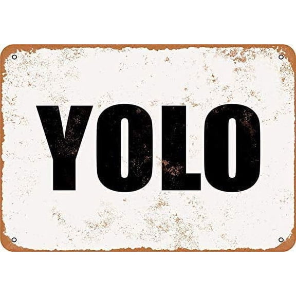 Yolo Funny Tin Sign Bar Pub Garage Diner Cafe Home Wall Decor Art Size: 12 x 16 inch