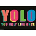thumbnail image 1 of Yolo Wall Poster, 14.725" x 22.375", 1 of 3