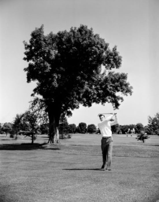 Yong man playing golf Canvas Art - (24 x 36)