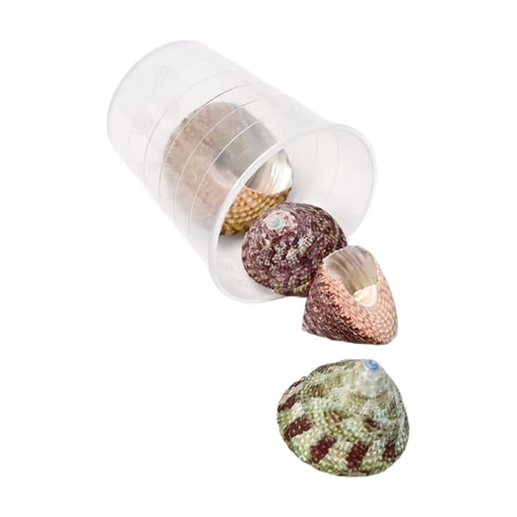 YongCo Natural Conch Shells Art Supplies Conch Shell Craft Collection Perfect for Crafts Home Decoration and Creative Projects