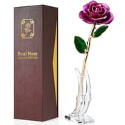 Yonktoo Gold Dipped Rose - Real Rose Preserved in 24K Gold, Forever Gift Rose for Her, Mother's Day, Valentine's Day, Anniversary, Birthday - Romantic Gift for 