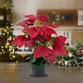 thumbnail image 1 of Yonrjhukm Artificial Christmas Flower Potted Decoration, Realistic Simulated Plants for Home, Office, Party, Indoor Outdoor Decor, Low Maintenance Faux Holiday Greenery, 1 of 6