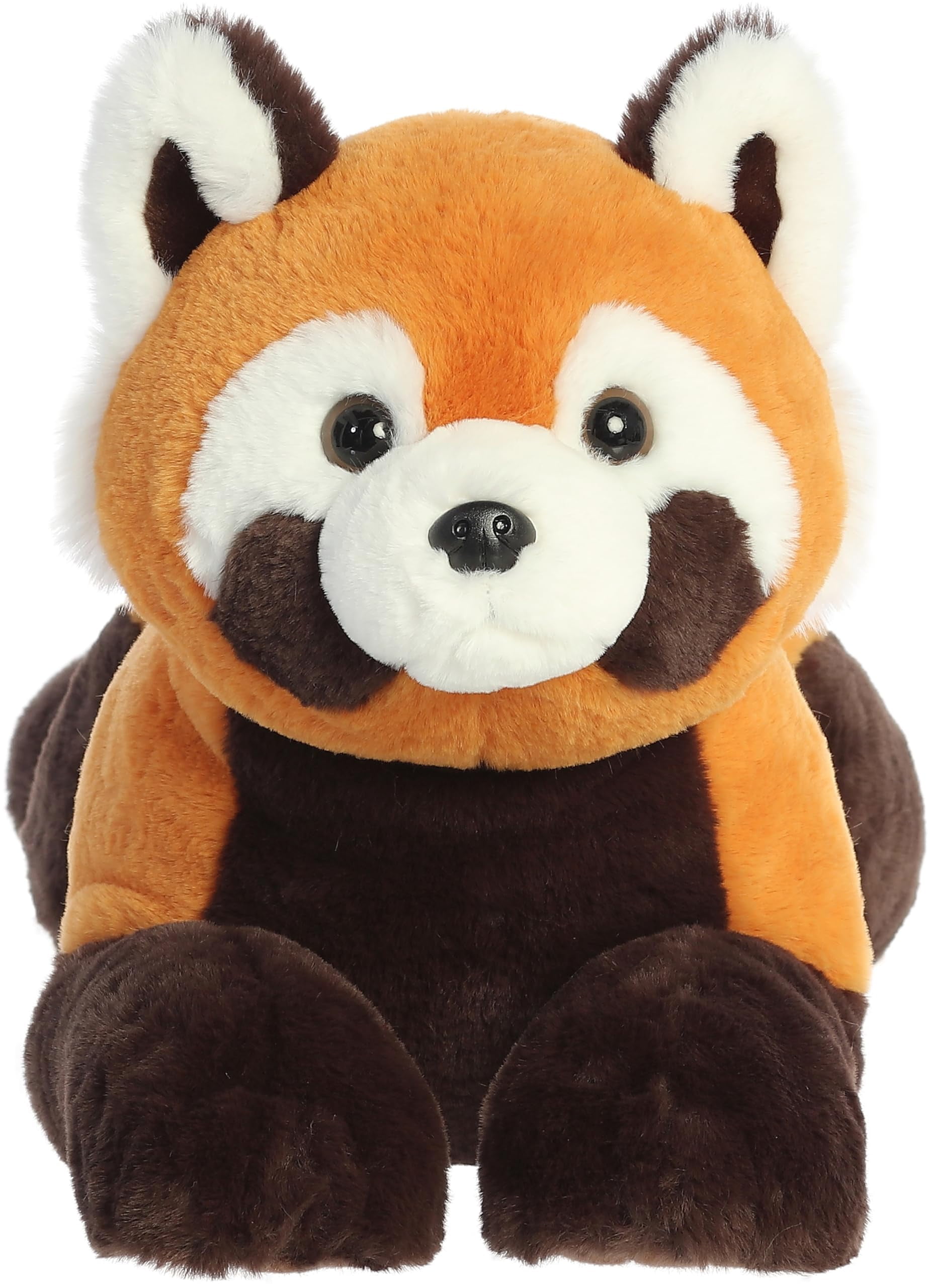 Red Panda Species