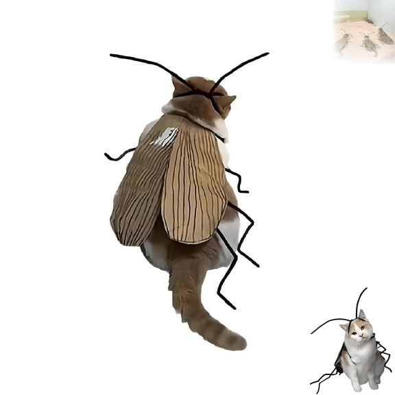 Yooshoverk Cat Cockroach Costume Kit Durable Craft Material for Pet Dressing Fun