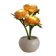 thumbnail image 1 of Yooshoverk Flower Pot Light Mini Night Light – Romantic Desktop & Bedroom Decor Lamp Yellow Free Size, 1 of 6