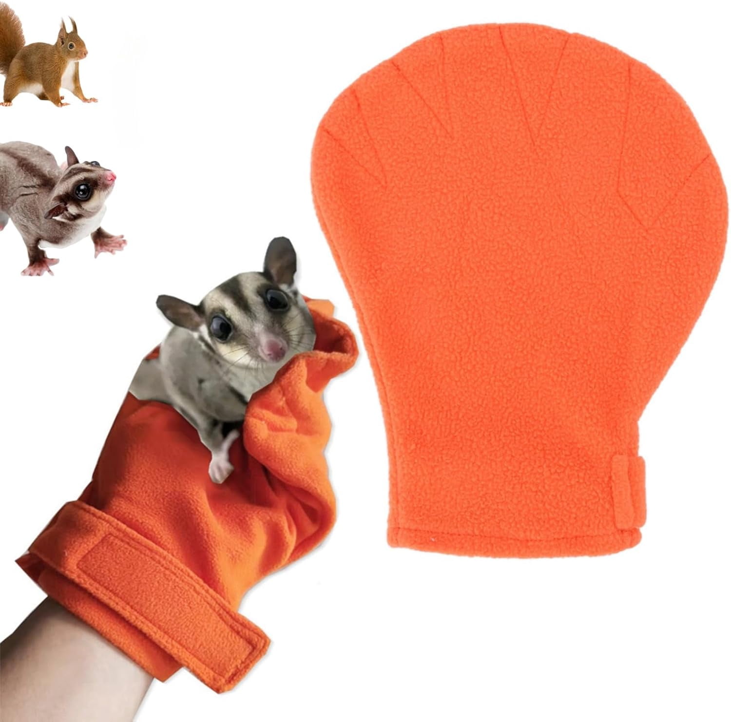 Illustration of Calming Hamster Toys For Pets