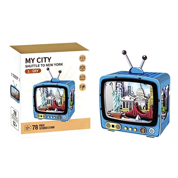 York City Assembly Television Building Construction DIY