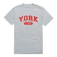 thumbnail image 1 of York College Cardinals Alumni T-Shirt, Heather Grey - Large, 1 of 1