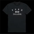 thumbnail image 1 of York College Cardinals Distressed Arch College T-Shirt, Black - Extra Large, 1 of 1