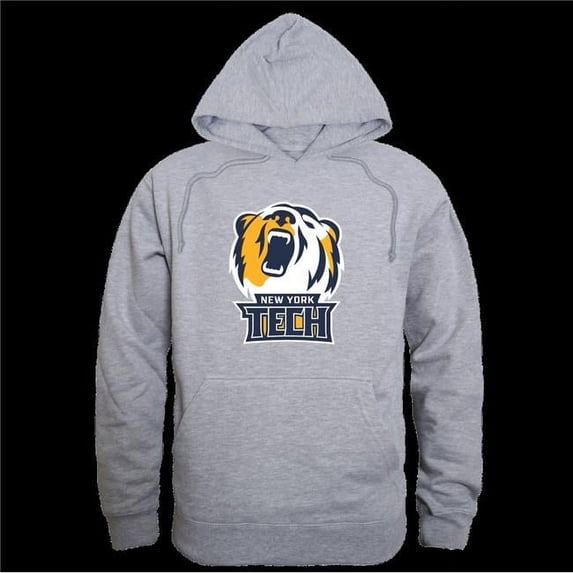 York Institute of Technology Bears Campus Hoodie, Heather Grey - Large