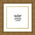 thumbnail image 1 of York, Leah 20x20 Gold Ornate Wood Framed with Double Matting Museum Art Print Titled - Beautiful Chaos VII, 1 of 4