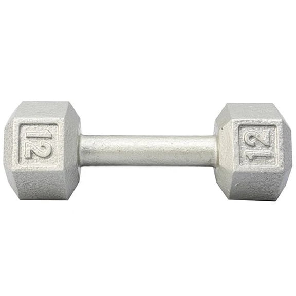YorkBarbell  12lbs Cast Iron Hex Dumbbell