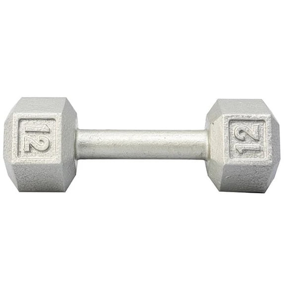 YorkBarbell 12lbs Cast Iron Hex Dumbbell