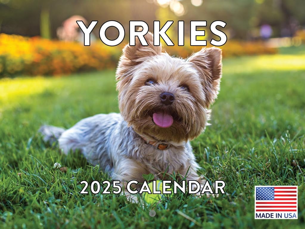 Yorkie Calendar 2025 Monthly Wall Calender 12 Month