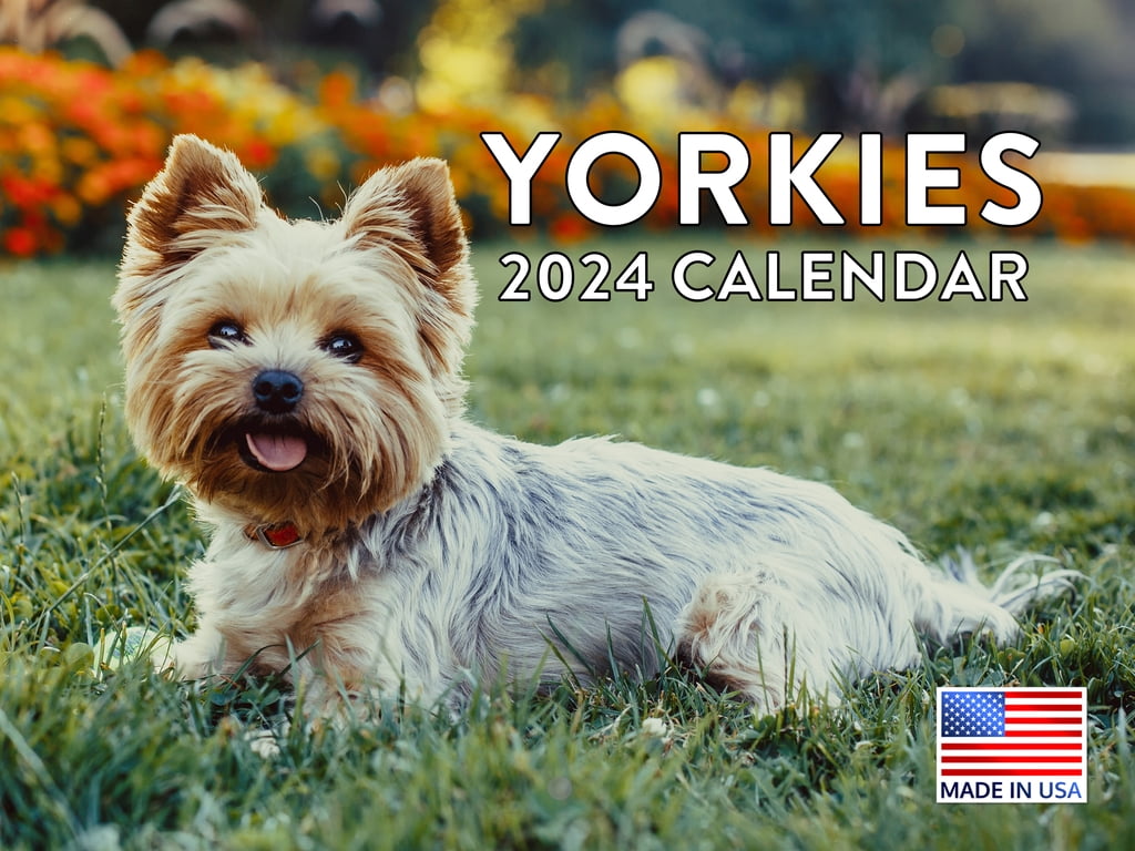 Yorkie Dog Breed 2025 Wall Calendar Yorkie 2025 Calendar